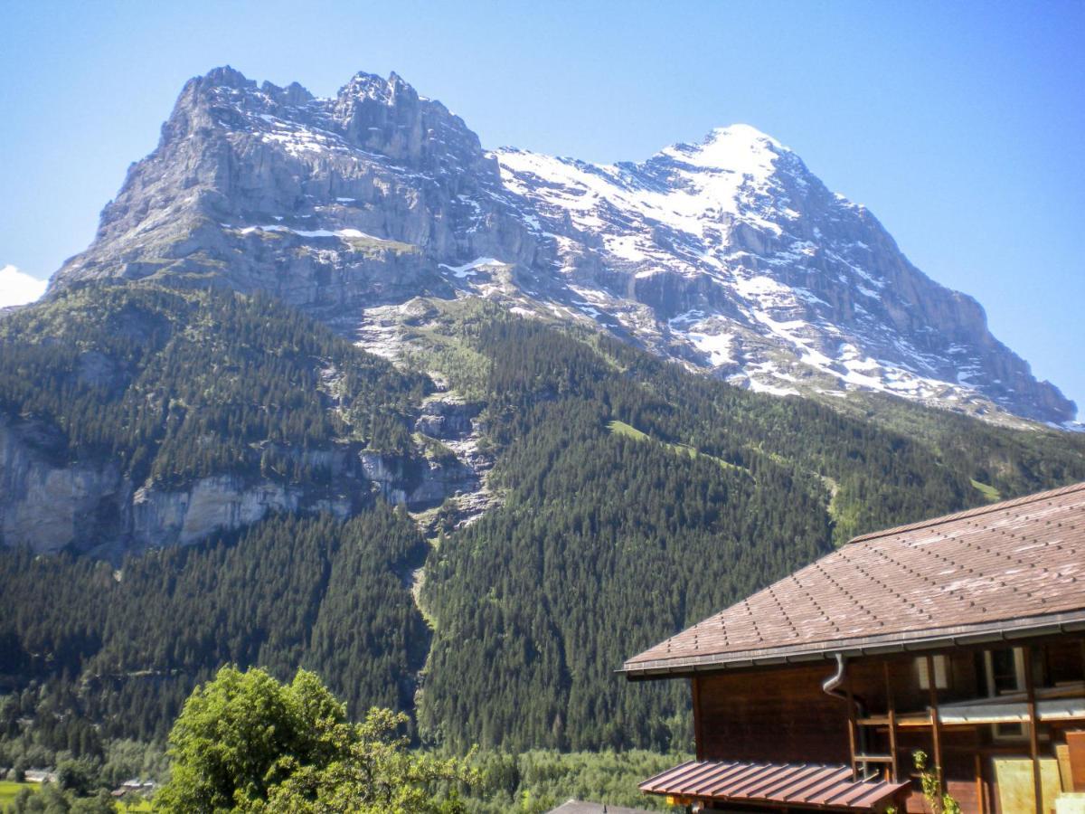 Apartment Chalet Almisräba Grindelwald Dış mekan fotoğraf