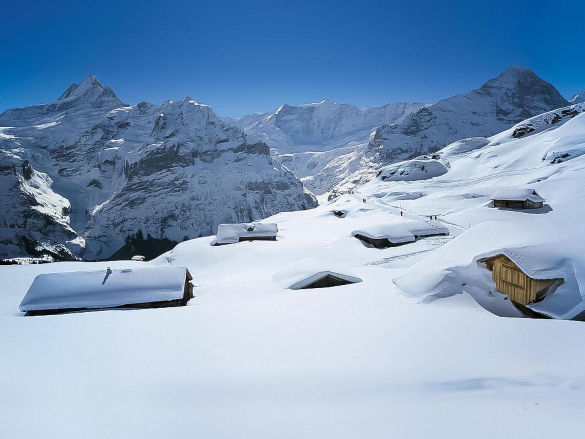 Apartment Chalet Almisräba Grindelwald Dış mekan fotoğraf