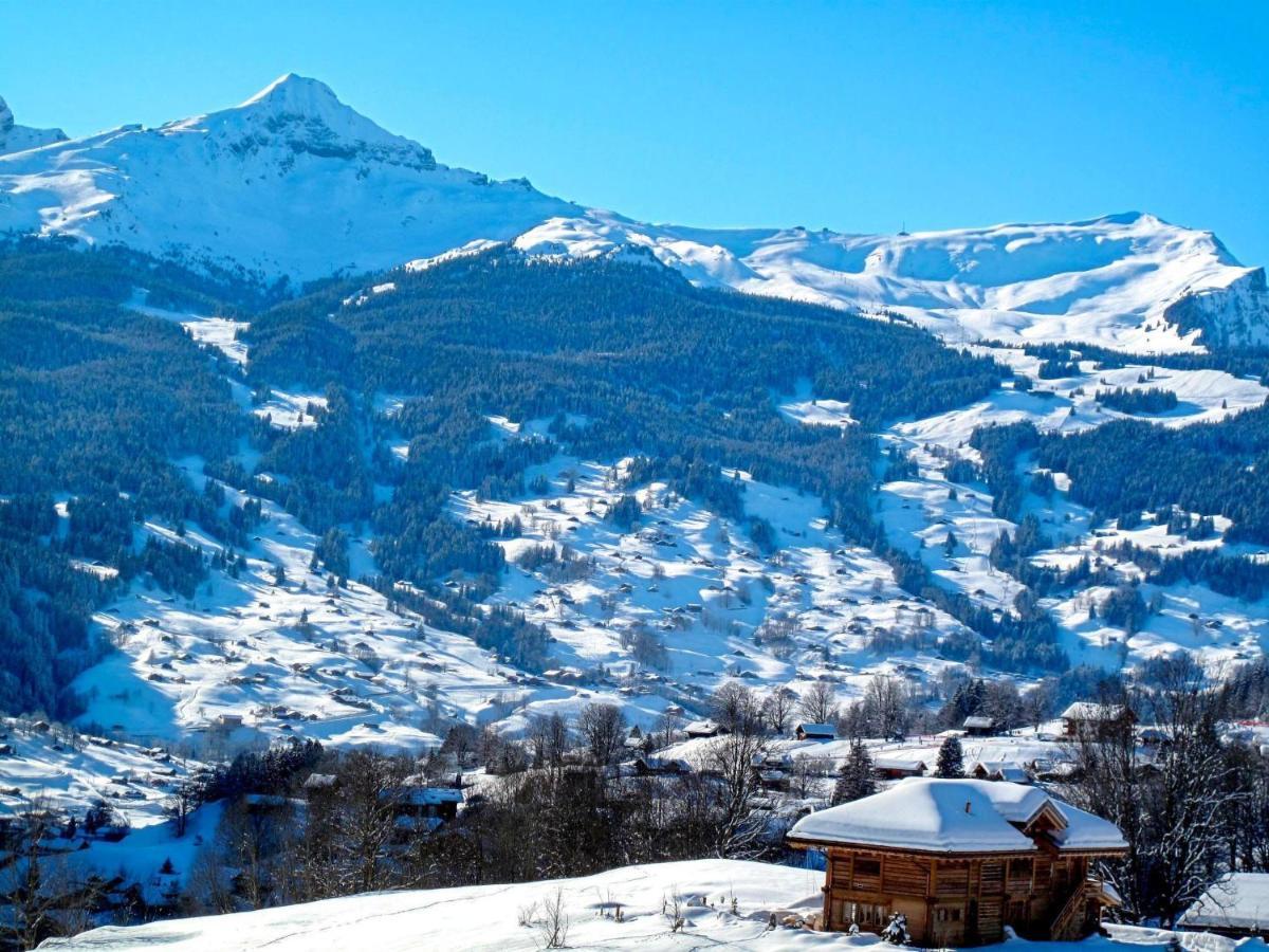 Apartment Chalet Almisräba Grindelwald Dış mekan fotoğraf