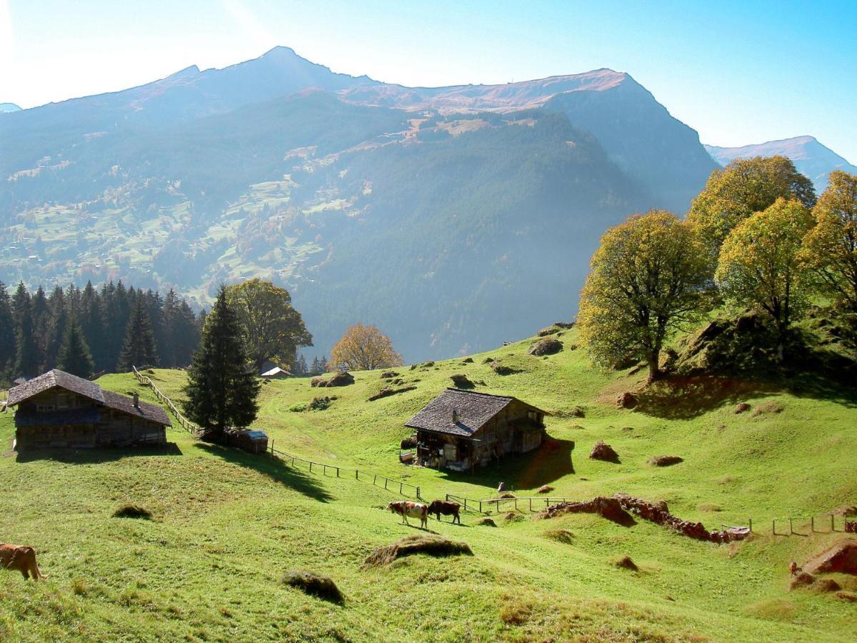 Apartment Chalet Almisräba Grindelwald Dış mekan fotoğraf