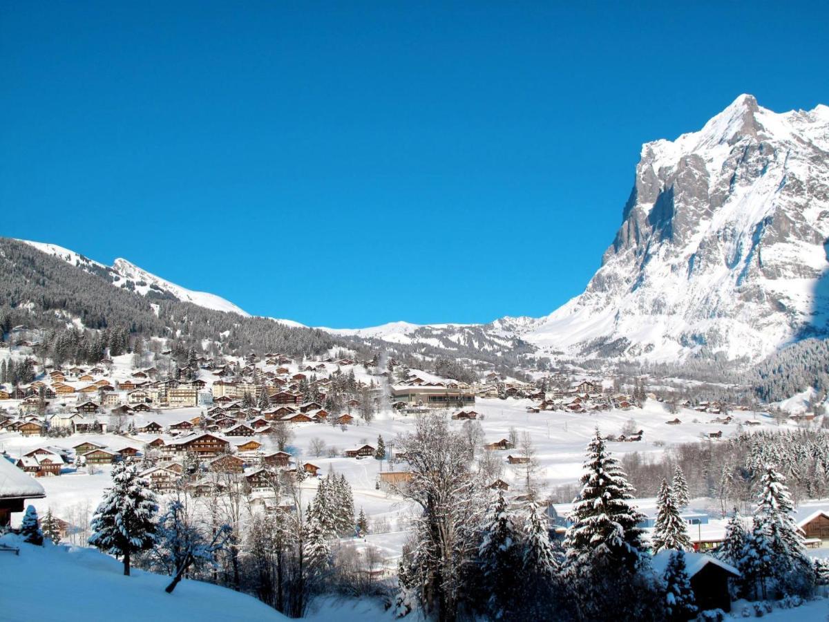 Apartment Chalet Almisräba Grindelwald Dış mekan fotoğraf