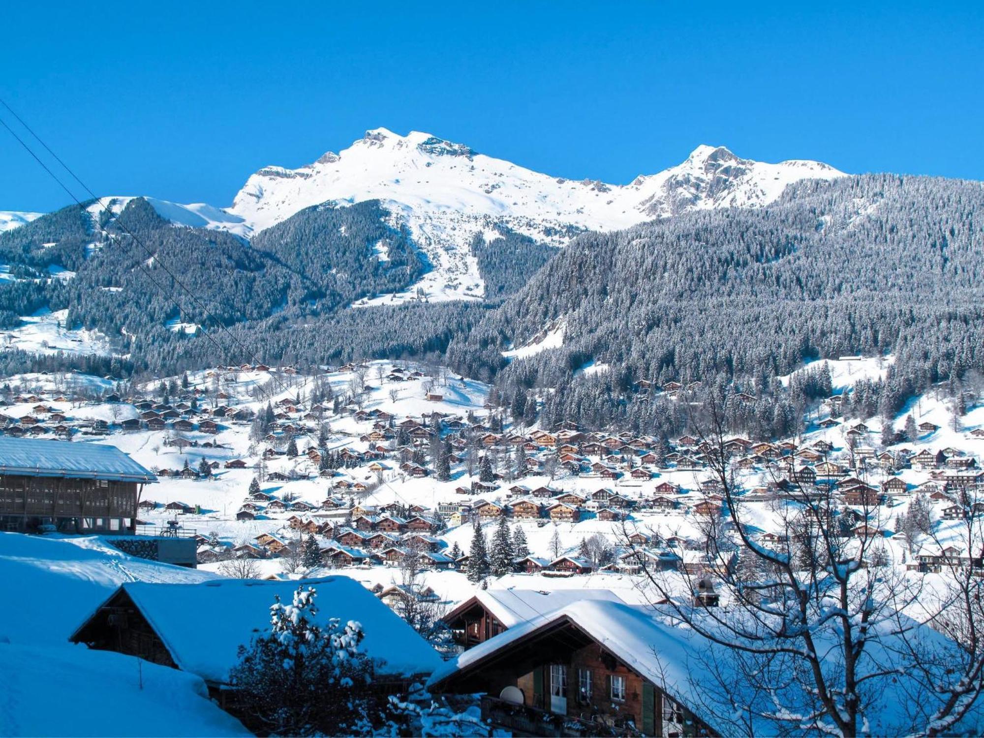 Apartment Chalet Almisräba Grindelwald Dış mekan fotoğraf